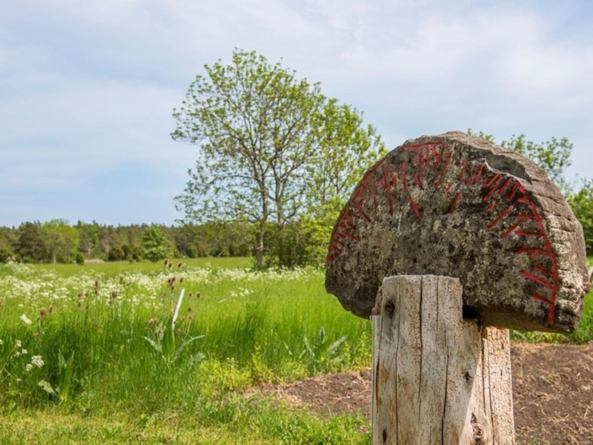 Liste Gard 旅馆